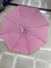 EVA eco-friendly plain umbrellas, long-handled umbrellas, custom-made umbrellas details Picture